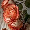 Yolanda Hickman - @yolanda.hickman - TikTok