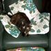 Yolanda Van Holderbeke - Facebook