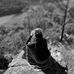 Yolande Hyde - Facebook
