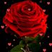 Juana Yolanda Islas Alvarez - Facebook