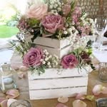 Yolanda Islas - @yolanda.islas.940 - Instagram