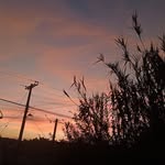 Yolanda Joaquin - @yolandajoaquin4 - Instagram