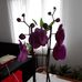 Yolanda Keiser - Facebook