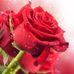 Yolanda Kessler - Facebook