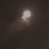 YolandaKidd - @ollienpu6f8 - TikTok