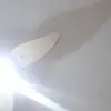 yolandaklein45 - @yolandaklein45 - TikTok