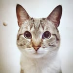 YoYo - @yolanda_kleiner_feigling - Instagram