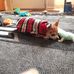 Yolanda Knapp - Facebook