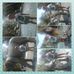 Yolanda Knapp - Facebook