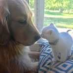 Yolanda Kuo - Facebook