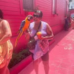 Yolanda Lamb - @yolandalamb - Instagram