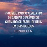 Yolanda Leite - @leiteyoo - Instagram