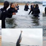 Yolanda Leite - @yolandaleite75 - Instagram