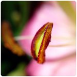 Yolanda Mackey - @phospotte - Instagram