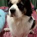 Yolanda Noble - Facebook
