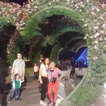Yolanda Parada - @yolanda.parada.7161 - Instagram