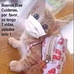 Yolanda Posada - @yolanda.posada - Instagram