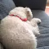 Yolanda Posada - @yolanda.posada2 - TikTok