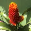 yolanda_posada_o - @yolanda_posada_o - TikTok