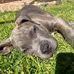 Yolanda Pretorius - Facebook