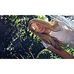 Yolanda Pretorius - Facebook