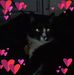 Yolanda Proctor - Facebook