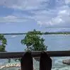 Yolanda Proctor - @yolanda.proctor - TikTok