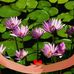 Yolanda Randall - Facebook