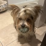 Yolanda Raya - @raya_yolanda - Instagram