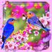 Yolanda Raya - Facebook