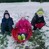 yolandarayner56 - @yolandarayner56 - TikTok