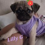 Yolanda Razo - @razo79y - Instagram