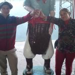 Yolanda Robledo - @yolanda.robledo.75457 - Instagram