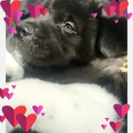 Yolanda Robledo - @yolanda.robledo.1447 - Instagram
