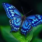 Yolanda Rodgers - @yolanda.rodgers.7587 - Instagram