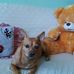 Yolanda Salgado - Facebook