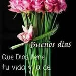 Yolanda Salgado Vargas - @yolandasalgadovargas - Instagram