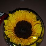 Yolanda Serna - @yolanda.serna.1253 - Instagram