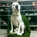 Yolanda Sernandez - Facebook