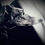 Yolanda Simon - @socaire63 - Instagram