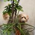 Yolanda Sinclair - Facebook