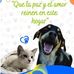 Yolanda Sotelo García - Facebook