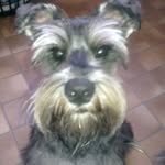 Yolanda Stephens - @yolanda.stephens.98 - Instagram