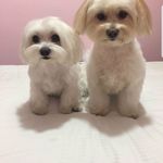 Yolanda Moran Toribio - @yolandamorantoribio - Instagram