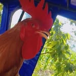 yolanda toribio arenas - @fabiantoribiolorenzo - Instagram