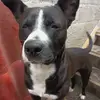 Yolanda Tostado Martínez - @yolandatostadom22 - TikTok