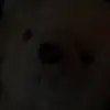 Yolanda Trejo - @yolanda.trejo50 - TikTok