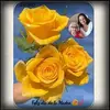 Yolanda Trejos - @yolanda.trejos8 - TikTok