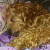 Yolie - @yolandaugarte0 - TikTok