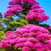 Yolanda Valentin - Facebook